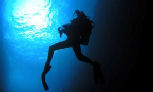Scuba Diving, Lord Howe Island, Australia